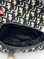 Dior Saddle Bag