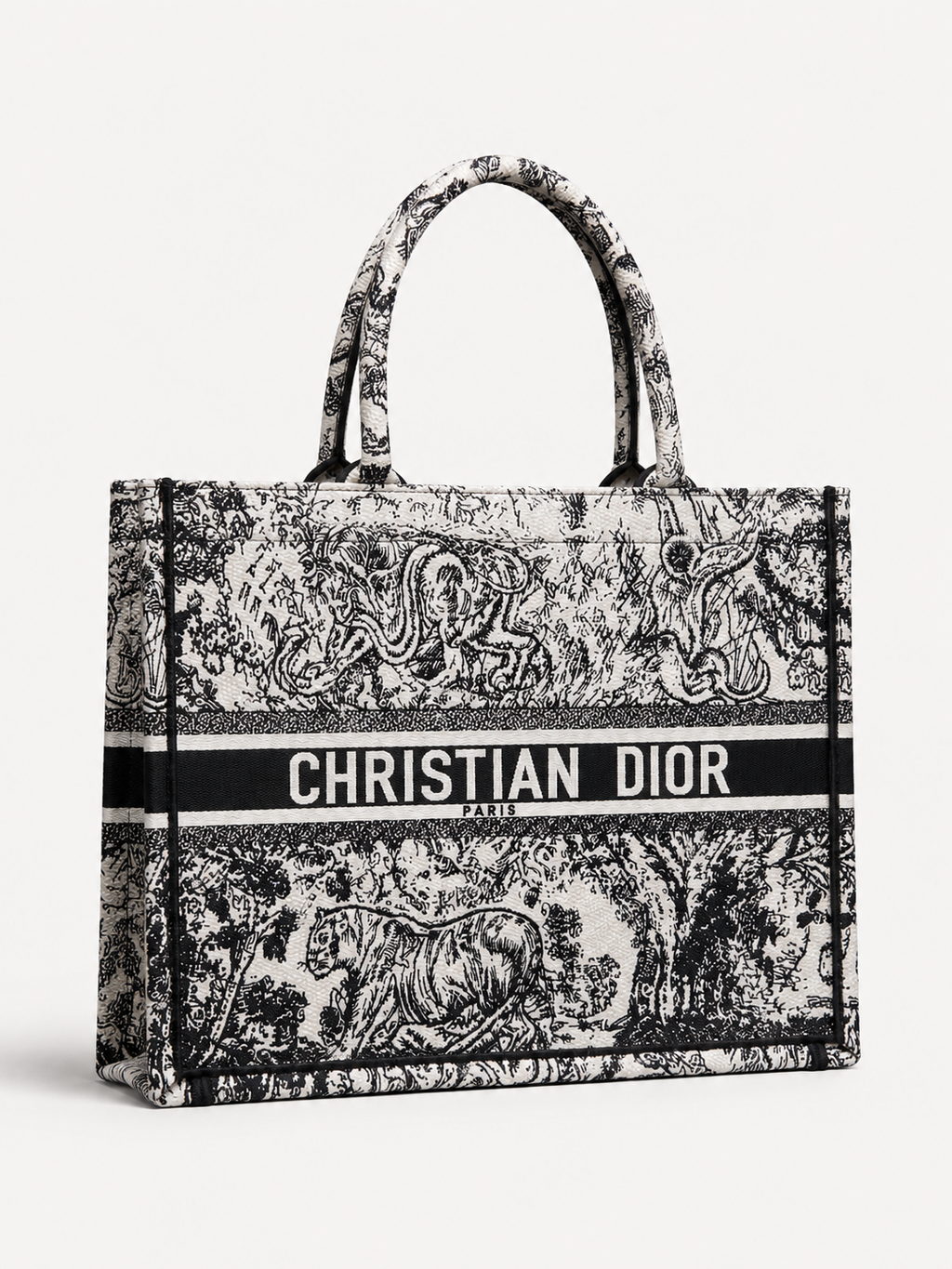 Dior Large Book Tote