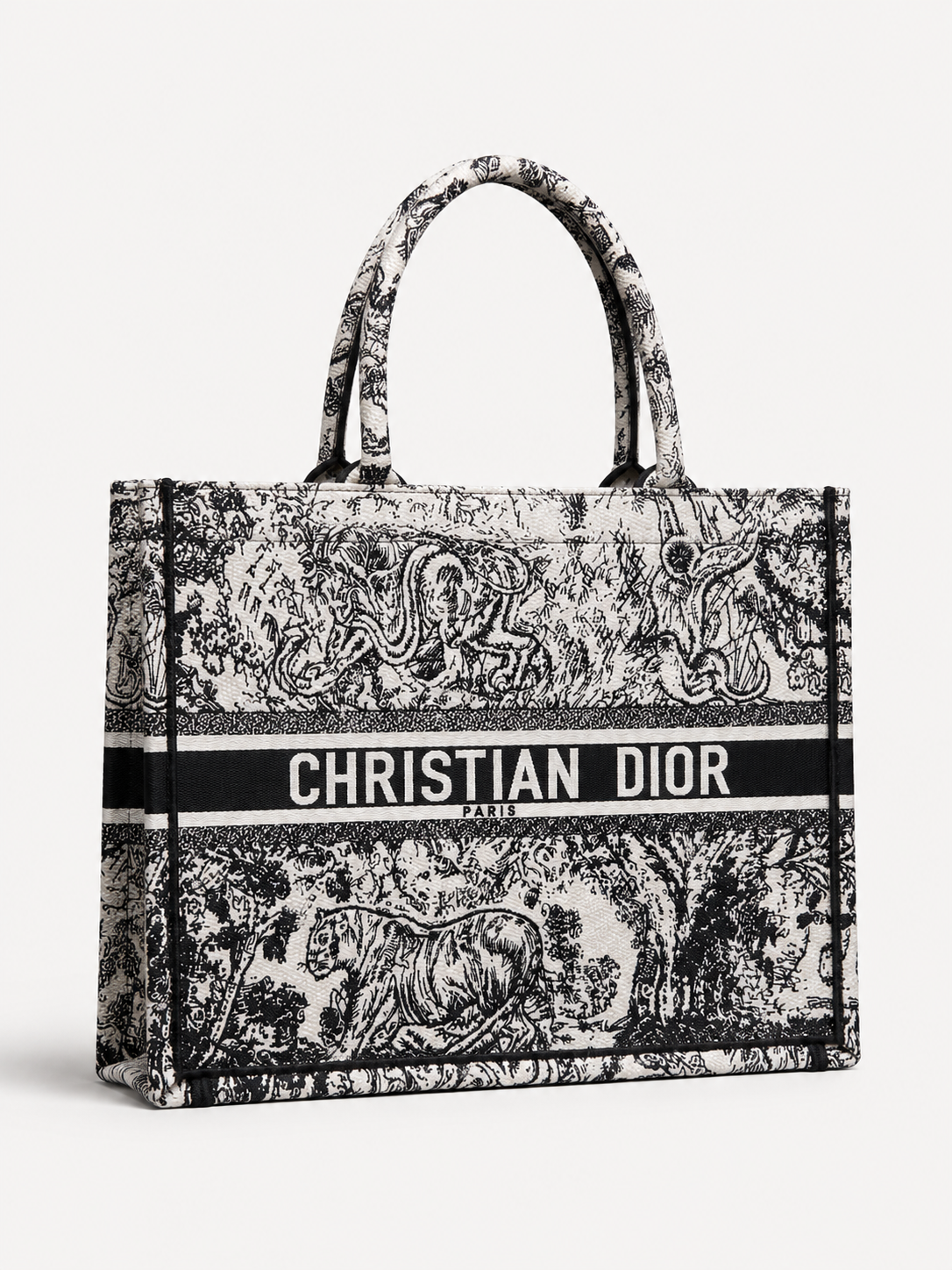 Dior Large Book Tote